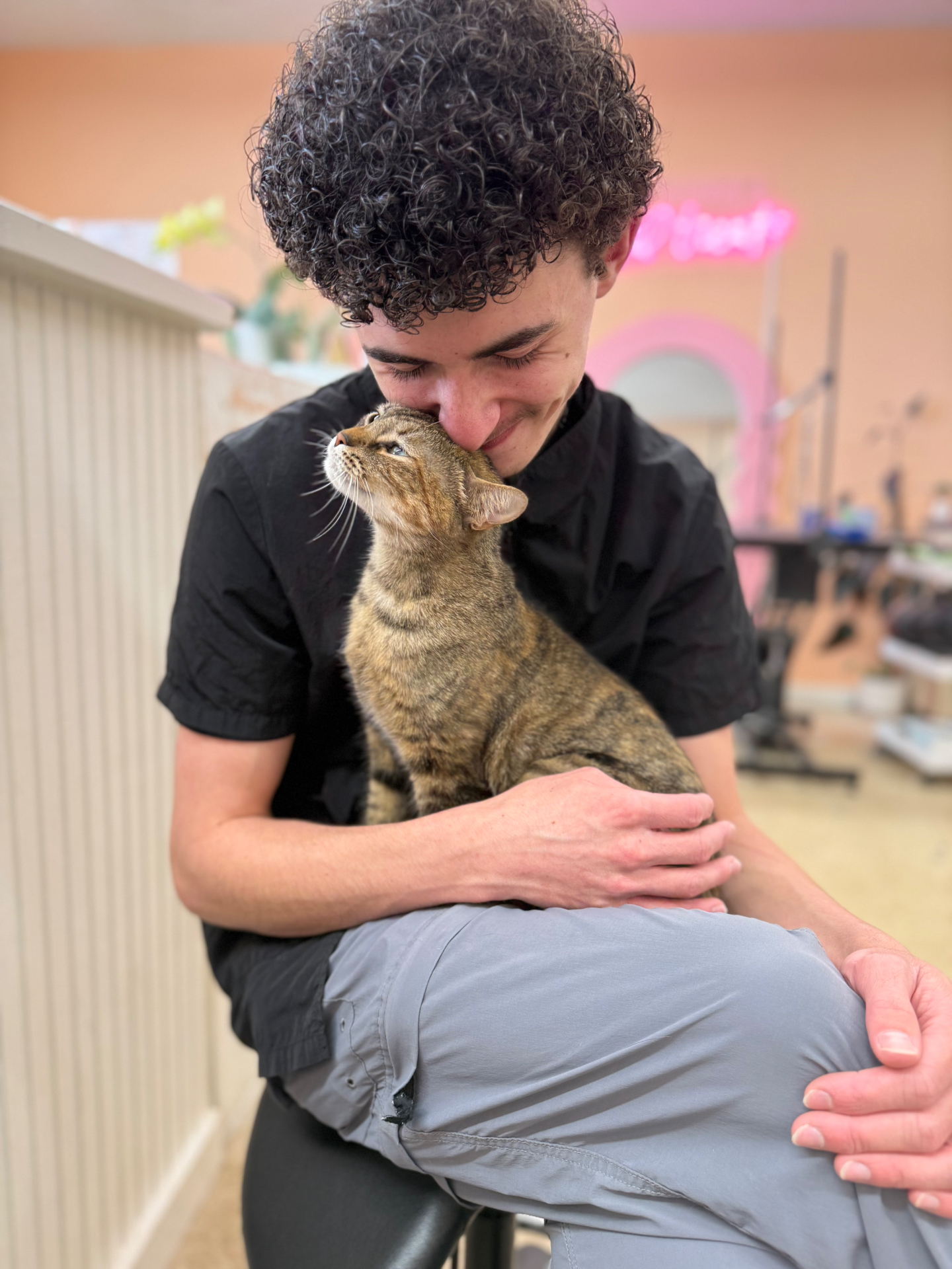 A groomer snuggling a tabby cat during a calm grooming visit
